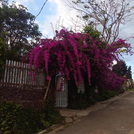 Ly'S Homestay Gia Nghĩa Buitenkant foto