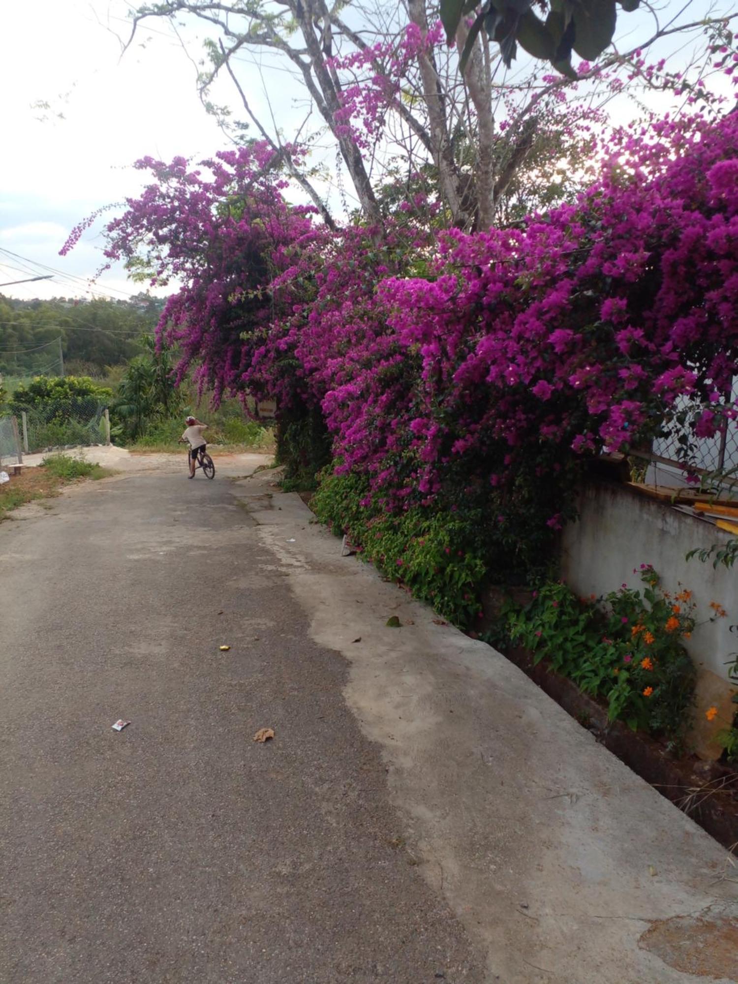 Ly'S Homestay Gia Nghĩa Buitenkant foto