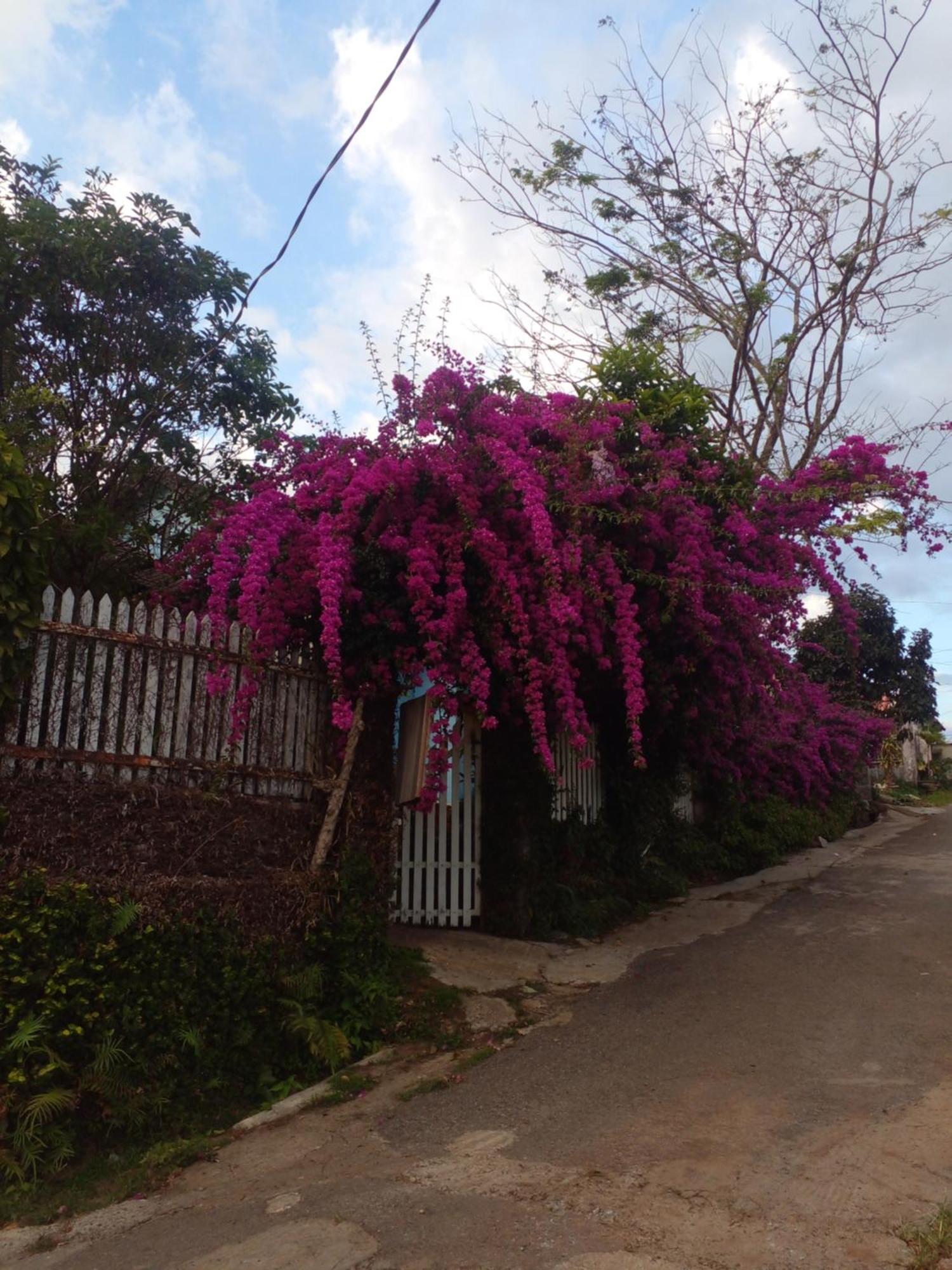 Ly'S Homestay Gia Nghĩa Buitenkant foto